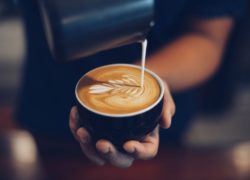 Barista : du grain à la tasse